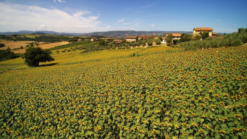 Colle San Giovanni Todi Exterior foto